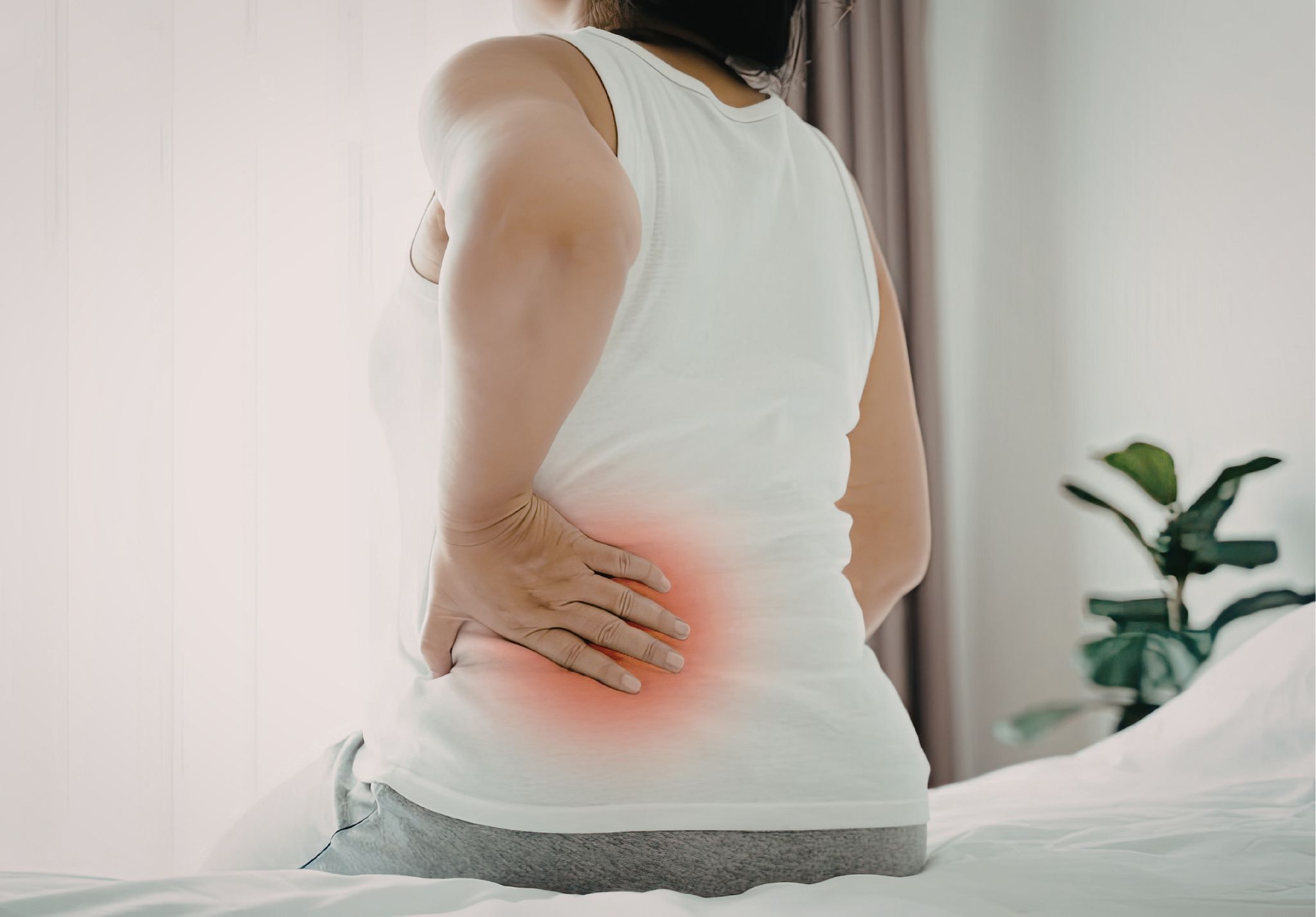 dorsalgia inflamatoria